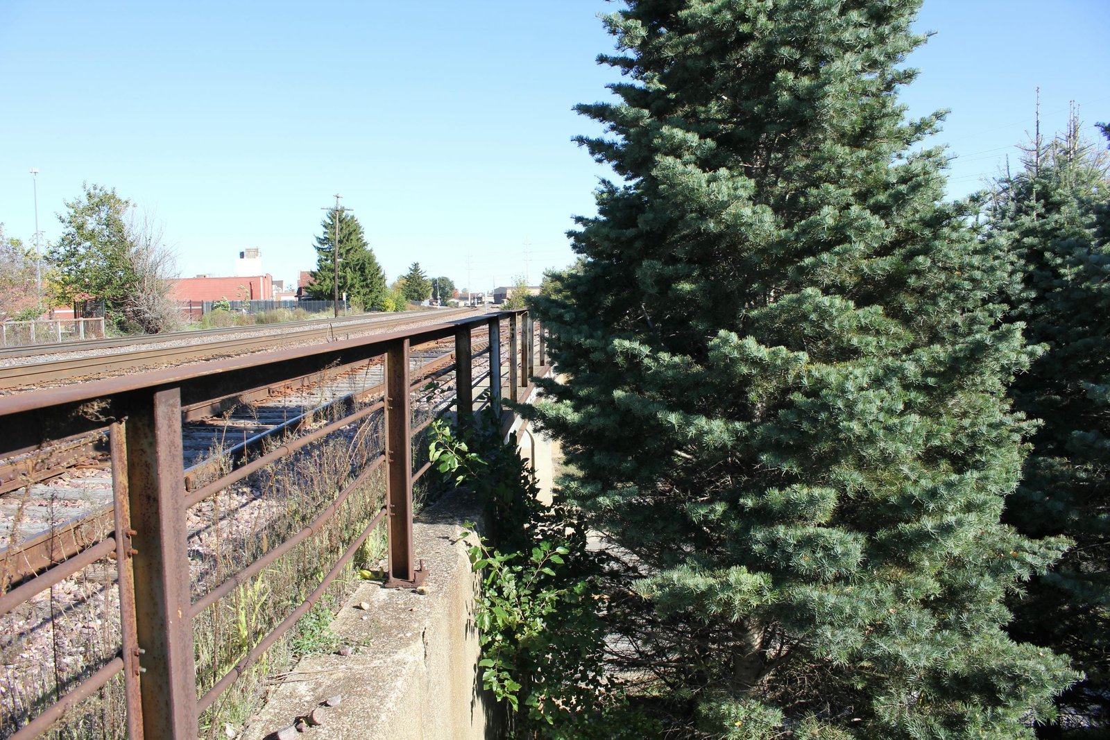 Looking east